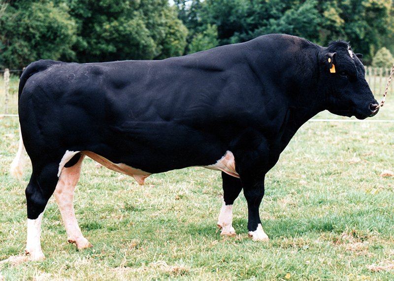 93278 O&#x27;Byrnes Eamonn