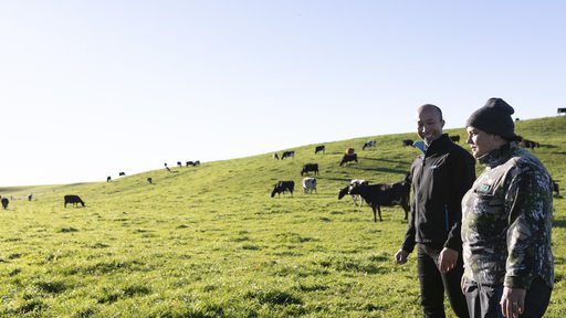 Wairarapa Farm Image