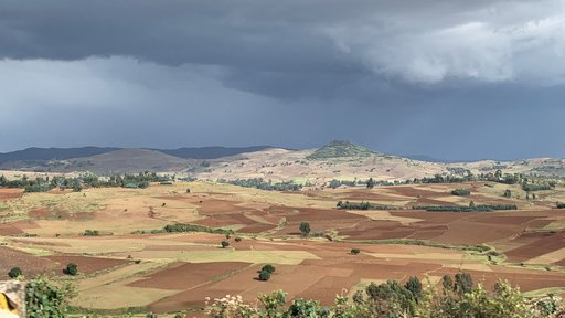 Ethiopian farmland