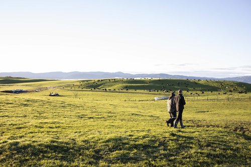 Wairarapa Moana