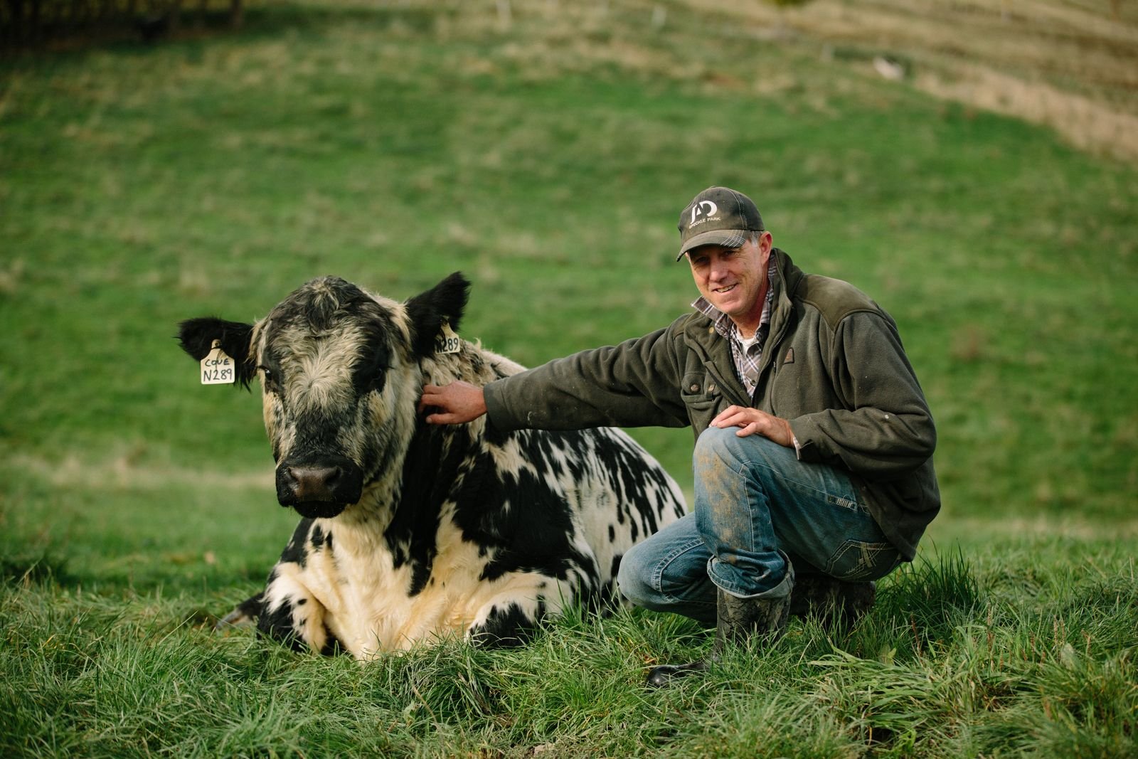 Mark McKenzie and Speckle Park bull