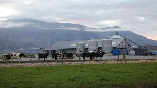 Large shed