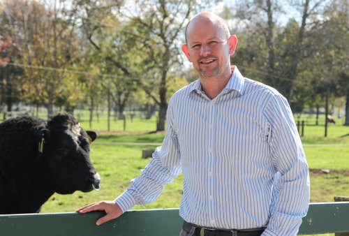 Wayne McNee, LIC chief executive who in November is leaving the cooperative after eight years at the helm..jpg